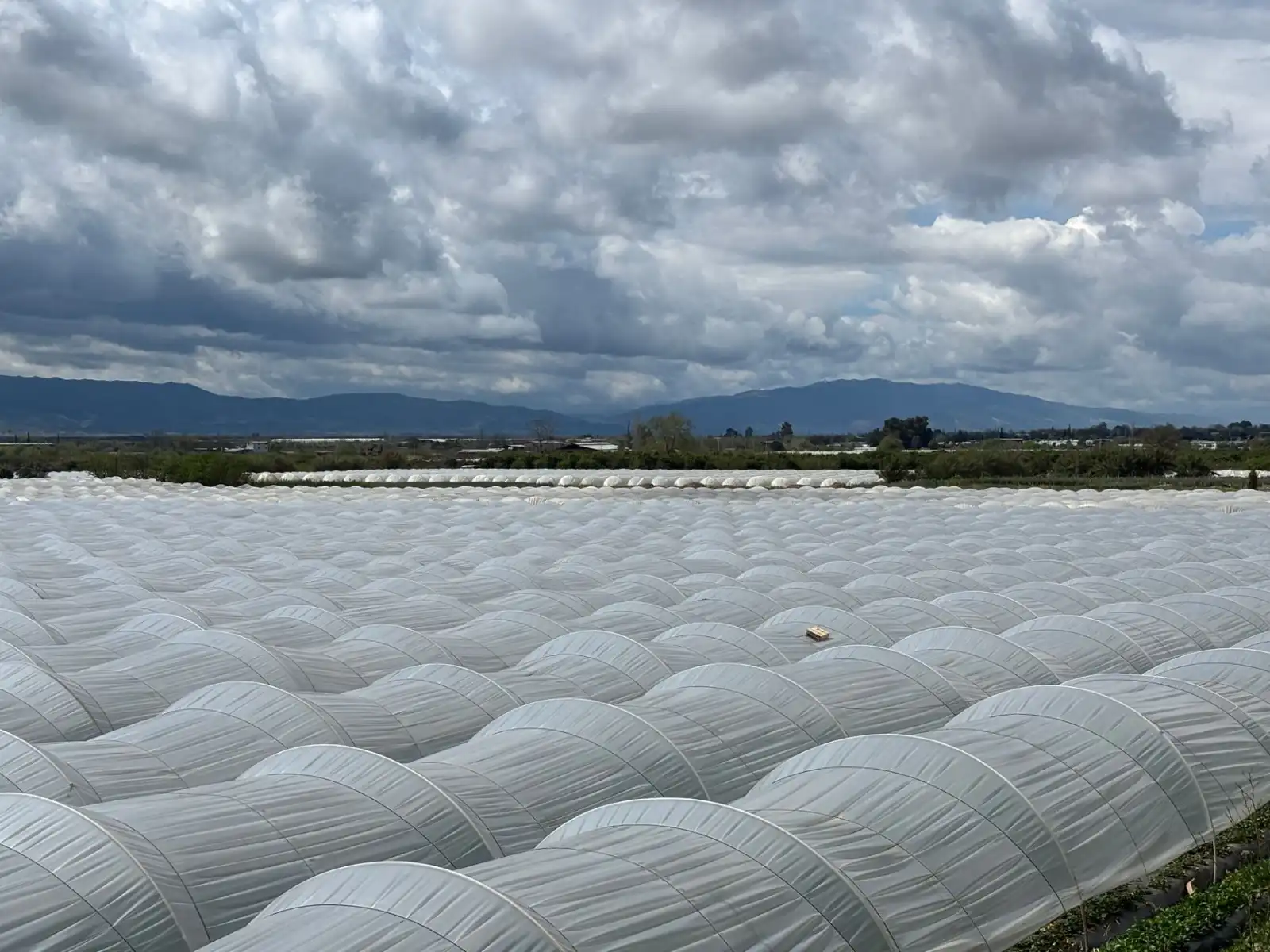 供应商管理软件功能解析：采购订单与入库验收一体化方案